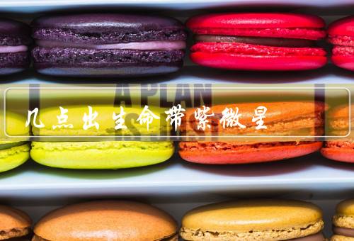 几点出生命带紫微星（定义／在命盘中意义／影响力）