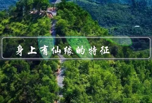 身上有仙缘的特征，外貌出众／气质高雅／运气逆天