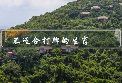 不适合打牌的生肖，牛、鼠、猪