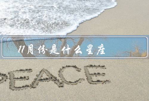 11月份是什么星座（特点、优点、缺点）