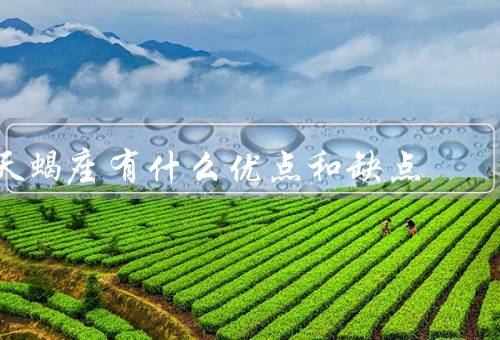 天蝎座有什么优点和缺点，优点／缺点
