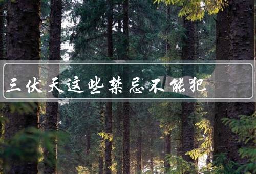 三伏天这些禁忌不能犯，饮食禁忌／衣着禁忌／户外活动禁忌