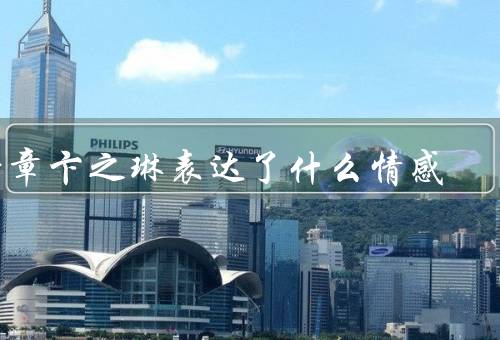 断章卞之琳表达了什么情感（表演出的痛苦与忧伤）