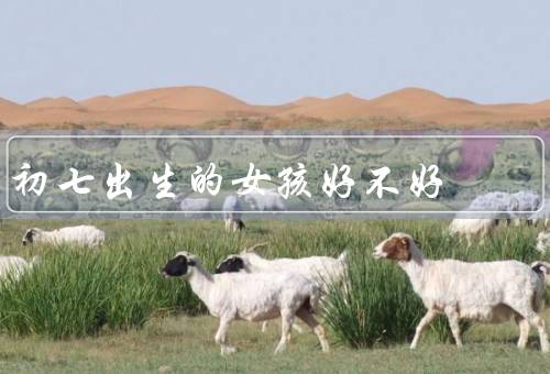 初七出生的女孩好不好（个性独立／乐观向上／善良温柔）