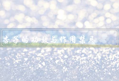 杏子的功效与作用禁忌（杏子的功效与作用／食用杏子的禁忌）