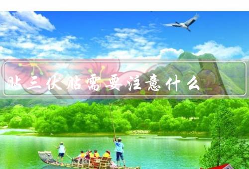 贴三伏贴需要注意什么，时间／部位／方法