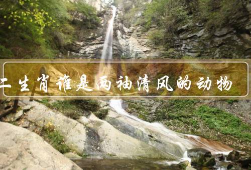 十二生肖谁是两袖清风的动物（灵活机智、机警和机灵、象征意义）