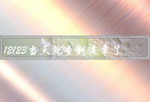 12123当天就查到违章了，详情、原因、应对