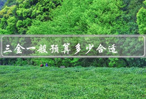 三金一般预算多少合适（三金的定义与作用、三金预算的合理范围）