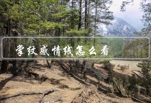 掌纹感情线怎么看，掌纹的形态／感情线的解读／综合解读