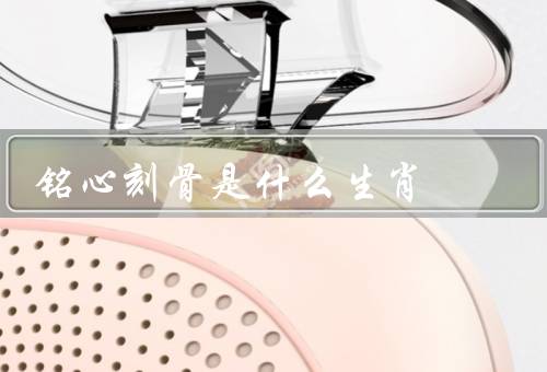 铭心刻骨是什么生肖（猪品质／特点／表现）