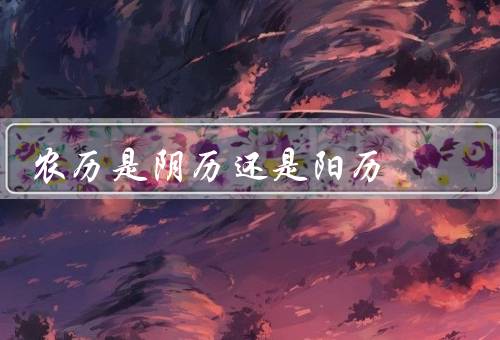农历是阴历还是阳历，历史背景／特点／使用情况