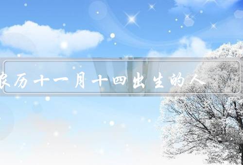 农历十一月十四出生的人，个性坚毅、家庭意识强、追求目标