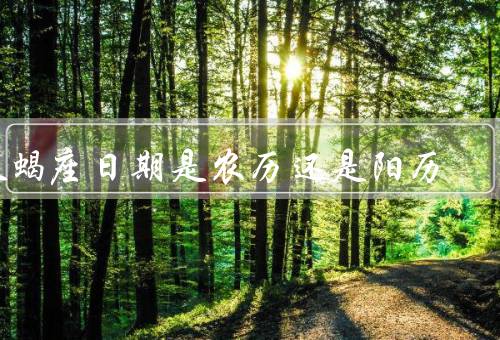 天蝎座日期是农历还是阳历，日期／性格特点／爱情观