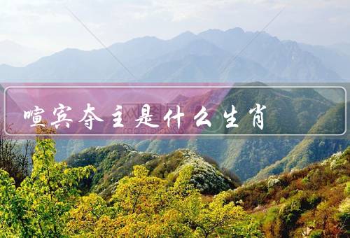 喧宾夺主是什么生肖（特点、表现、优缺点）