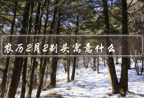 农历2月2剃头寓意什么，由来／寓意／习俗