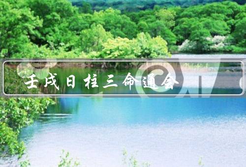 壬戌日柱三命通会，基本特征／五行八字分析／命运走向