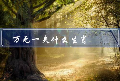 万无一失什么生肖，聪明才智／机遇和财运／人际关系和健康