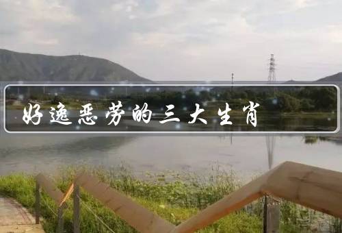 好逸恶劳的三大生肖，猪／蛇／兔