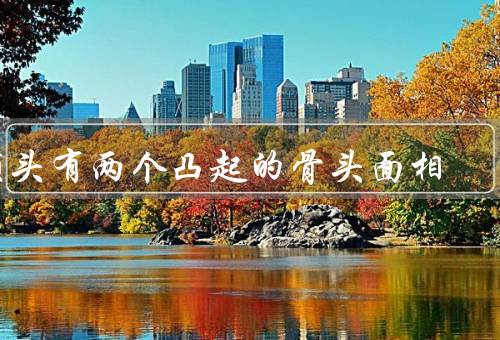 额头有两个凸起的骨头面相（形状／意义／与性格特点）