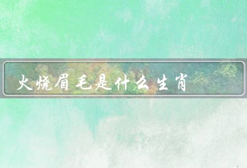 火烧眉毛是什么生肖，火烧眉毛生肖／特点／应对策略