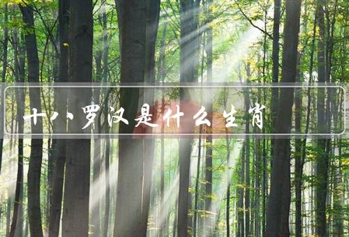 十八罗汉是什么生肖，由来、形象特征、象征意义