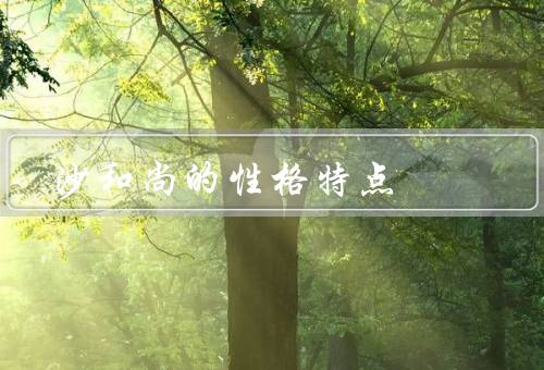 沙和尚的性格特点（豪爽、孩子气、直爽）