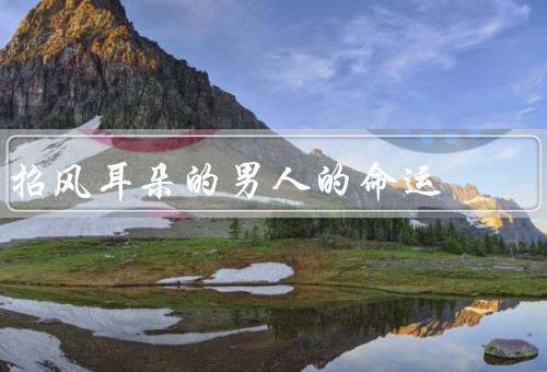 招风耳朵的男人的命运（童年的磨难／奋斗的道路／成就与启示）