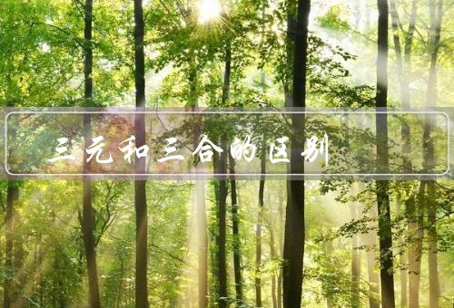 三元风水和三合风水的区别，三元风水／三合风水／总结