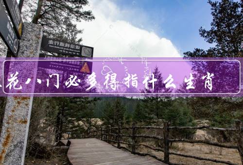 五花八门必多得指什么生肖，属鼠／属牛／属虎