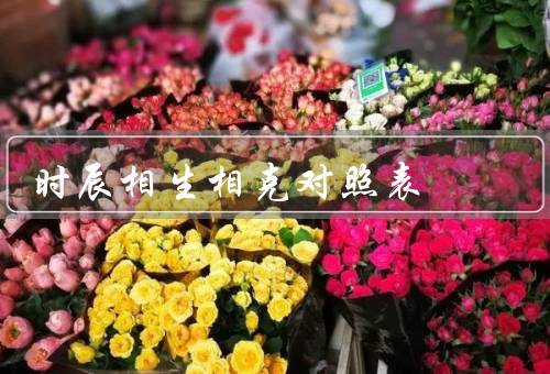 时辰相生相克对照表（相生／相克／相生相克对照表）