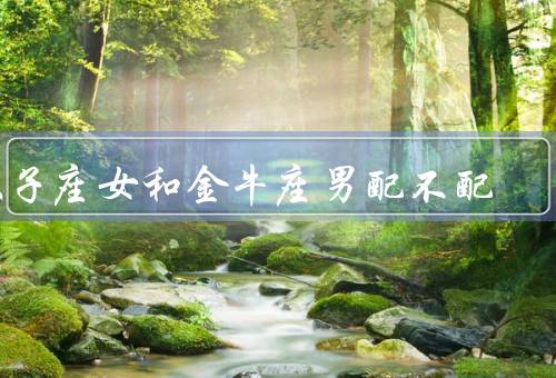 双子座女和金牛座男配不配，特点／金牛座男的特点