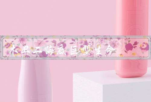木卫二海底巨型生命（发现／演化／对外层空间生命影响）