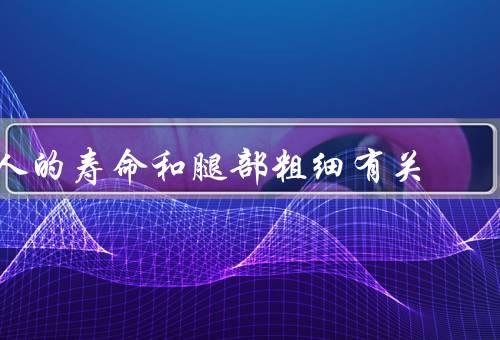 人的寿命和腿部粗细有关