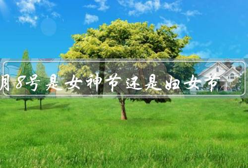 3月8号是女神节还是妇女节，起源／意义／庆祝方式