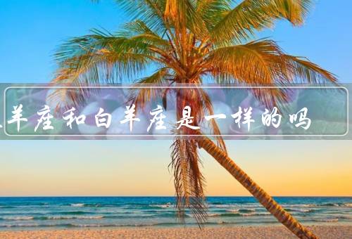 牧羊座和白羊座是一样的吗，个性差异／行动方式／人际关系
