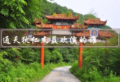 通天狄仁杰聂欢演的谁，聂欢的执导风格／演员的表演／影片的评价