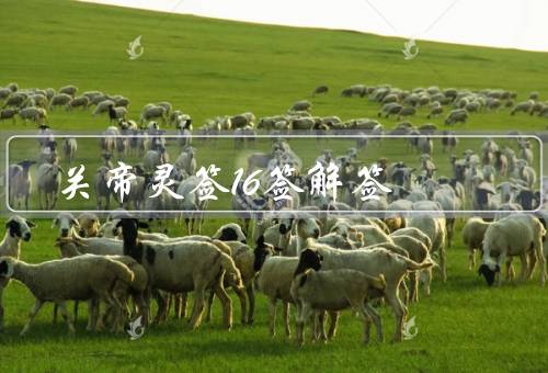 关帝灵签16签解签（寻找机会／坚持努力／智慧运用）