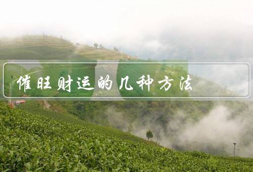催旺财运的几种方法（财神庙／开业大吉／招财物品）