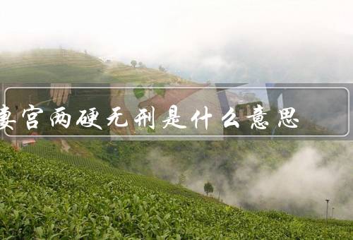 妻宫两硬无刑是什么意思