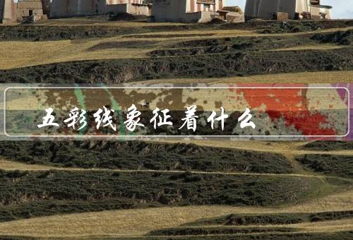 五彩线象征着什么，多样性／和谐／美丽