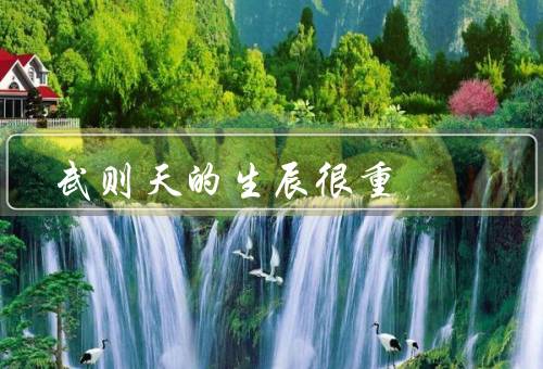 武则天的生辰很重，早年崭露头角／登上皇位／光辉一生