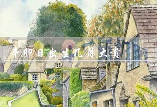 辛卯日出生几月大贵，辛卯年特点、命运、适合从事的职业
