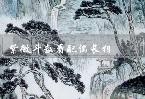 紫微斗数看配偶长相（和配偶长相／细节分析／需要注意的事项）