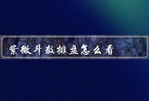紫微斗数排盘怎么看，命宫、财帛宫、事业宫