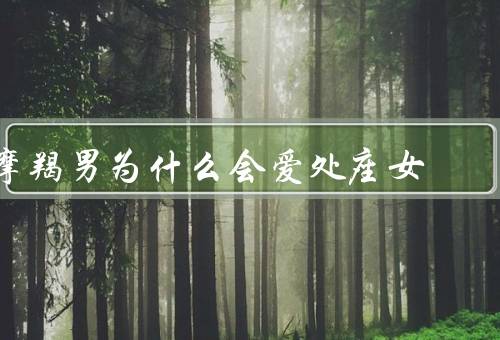 摩羯男为什么会爱处座女，共同价值观／互补性格／相互欣赏