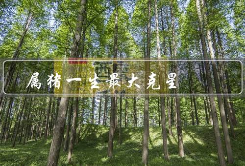 属猪一生最大克星，易受外界影响／情绪的影响／控制情绪的重要性