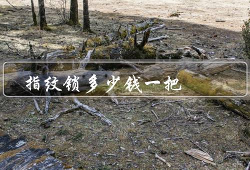 指纹锁多少钱一把，指纹锁价格／购买指纹锁的注意事项／结语