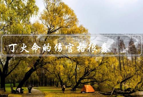 丁火命的伤官格很蠢，伤官星的特点／丁火的特性