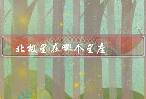 北极星在哪个星座，座的位置、重要性、与北斗七星的关系
